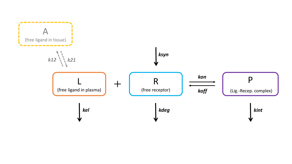 full_model_scheme_newnames-1024x576-20240709-143657.png