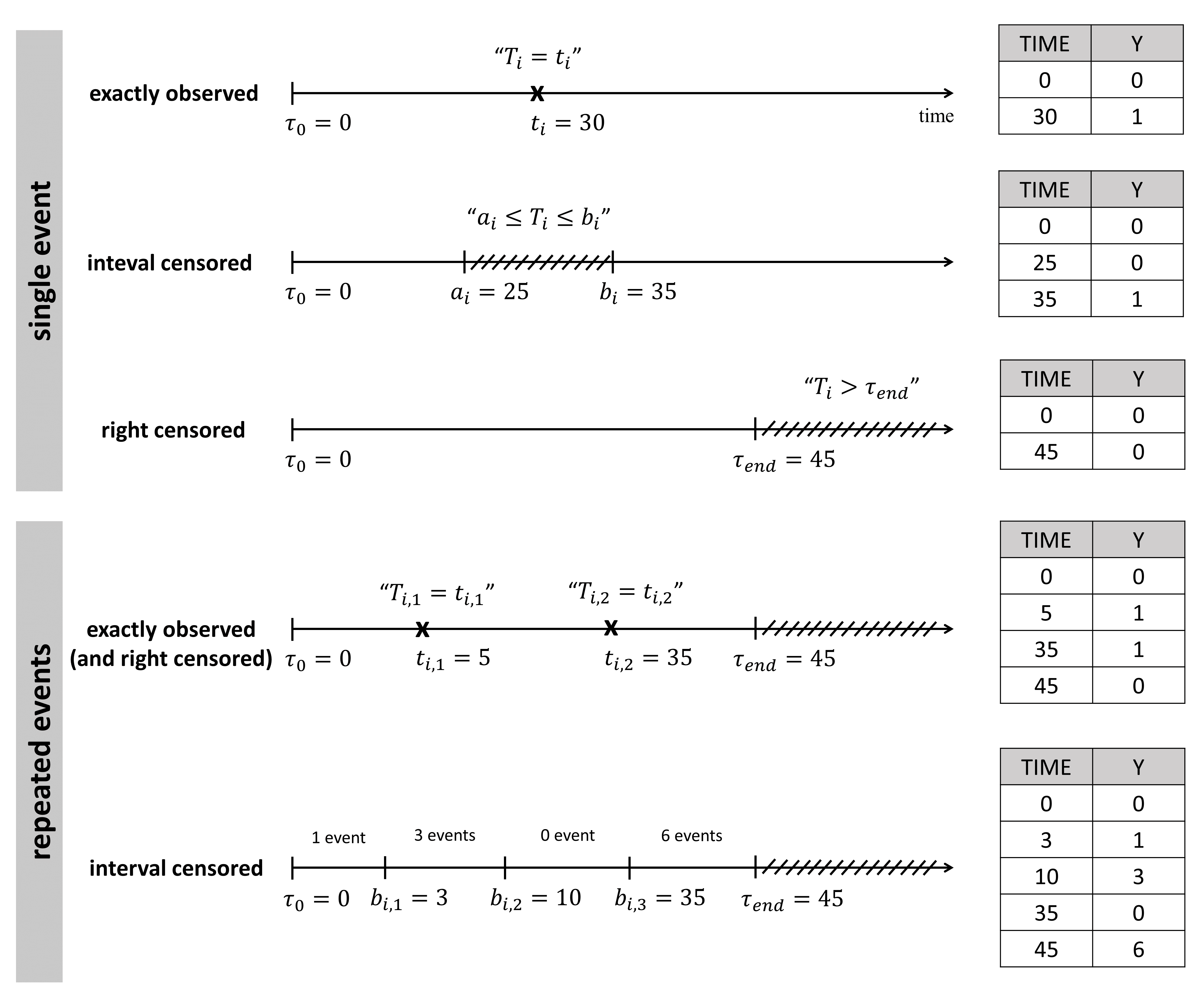 scheme_TTE_dataset-20240603-124717.png