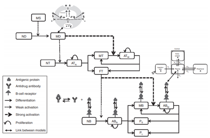 image-20250801-112304.png