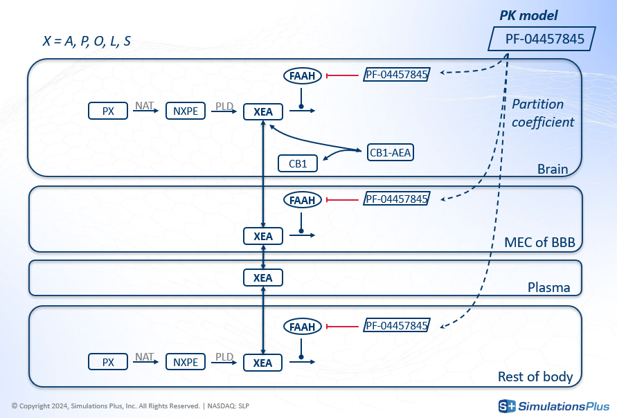 image-20250804-075542.png