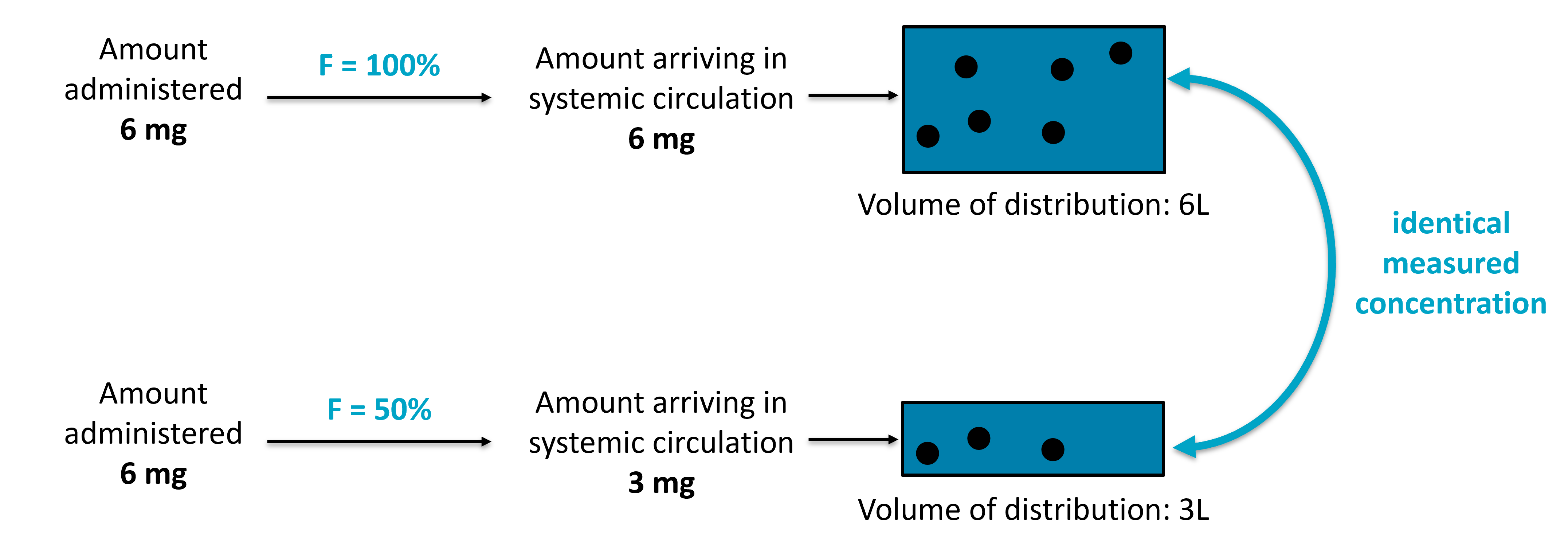 bioavailability_oral_example.png