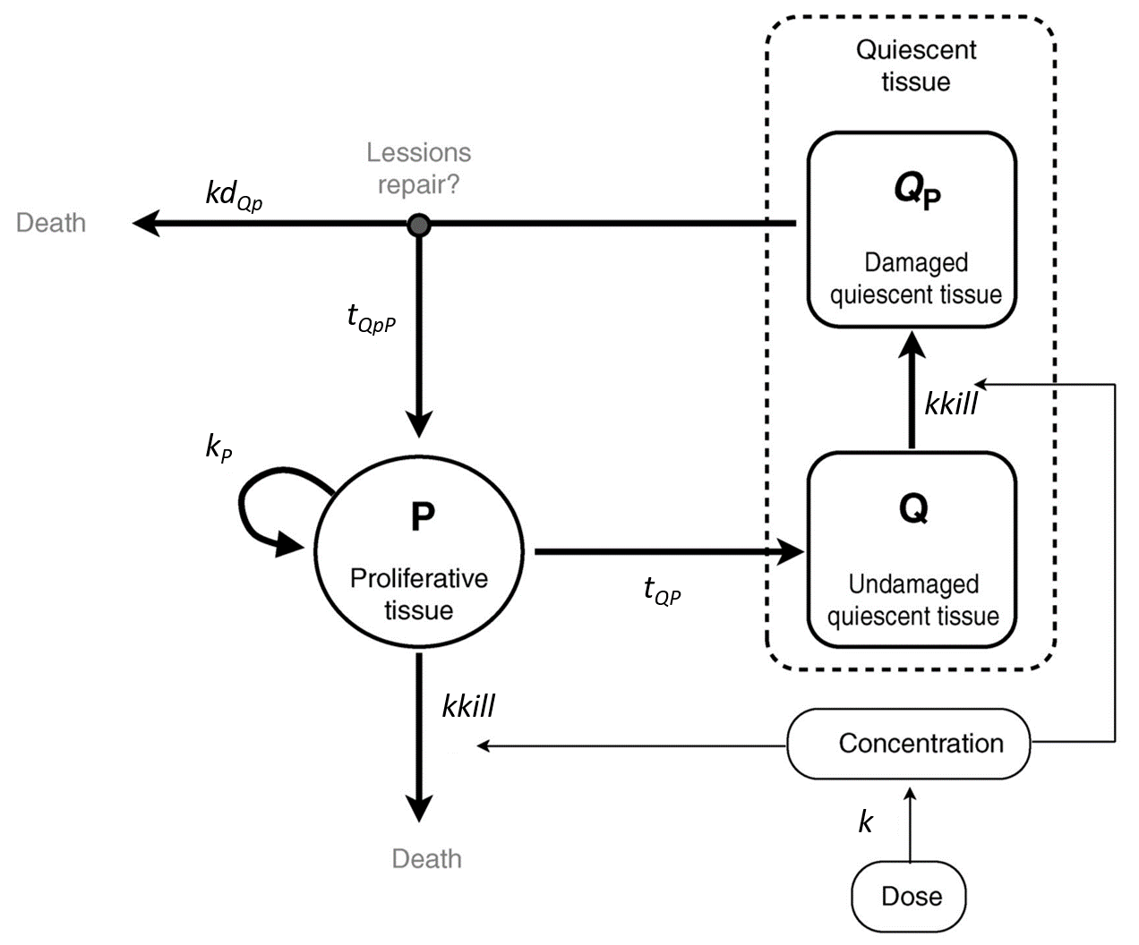 Ribba_schema.png