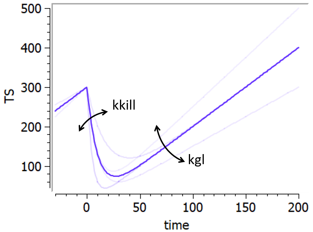wang2.png