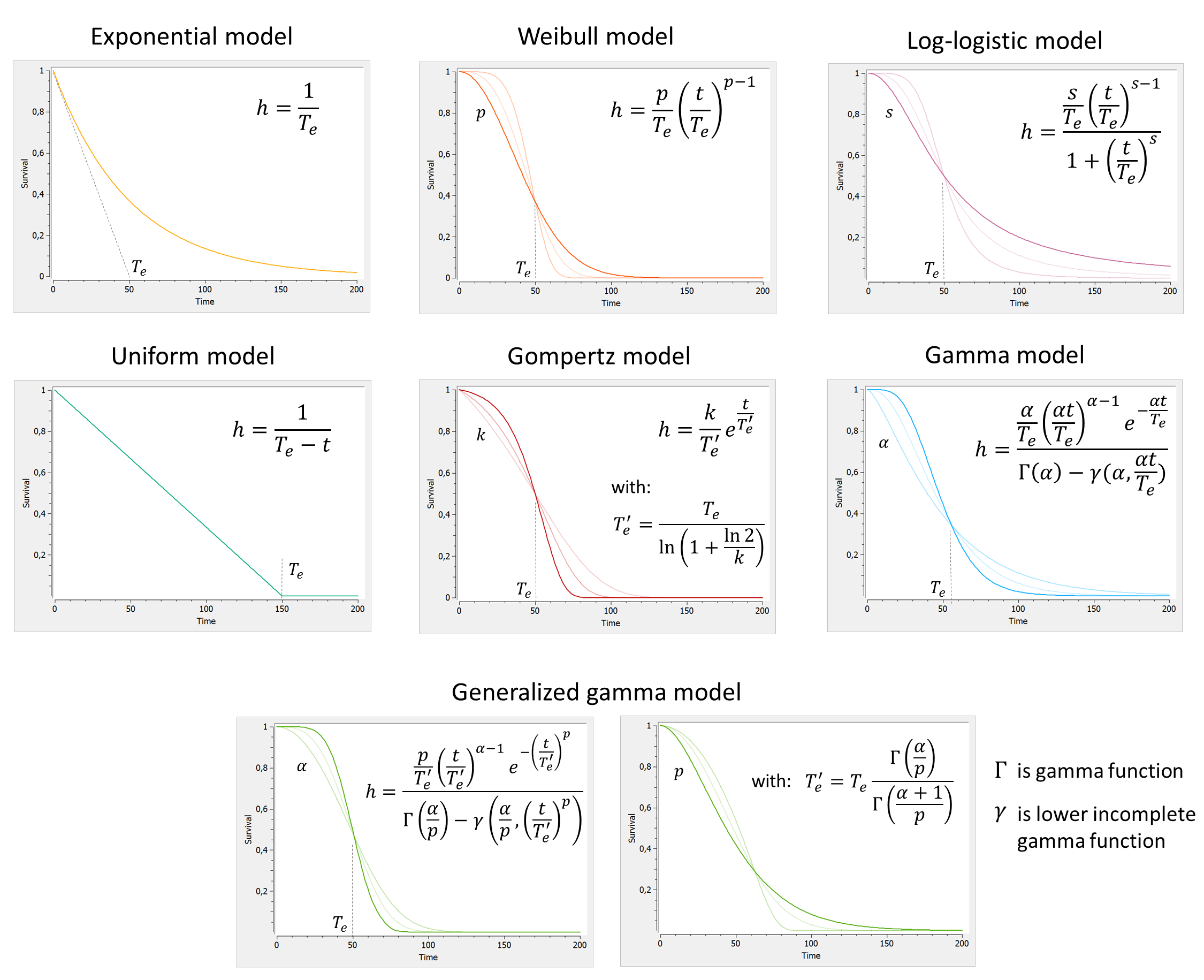 survival_shapes_v2-20240710-131716.png