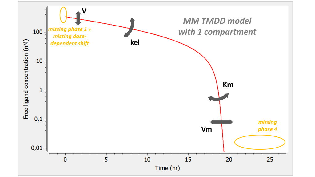 summary_MM-1024x576-20240710-172646.png